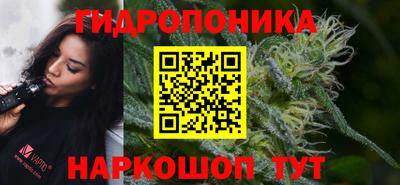 каннабис Гатчина