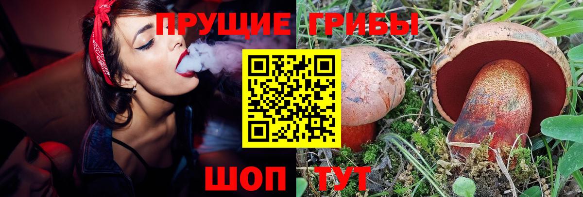 Топки  Галлюциногенные грибы ЛСД  Вход с VPN  Галлюциногенные грибы Psilocybine cubensis 