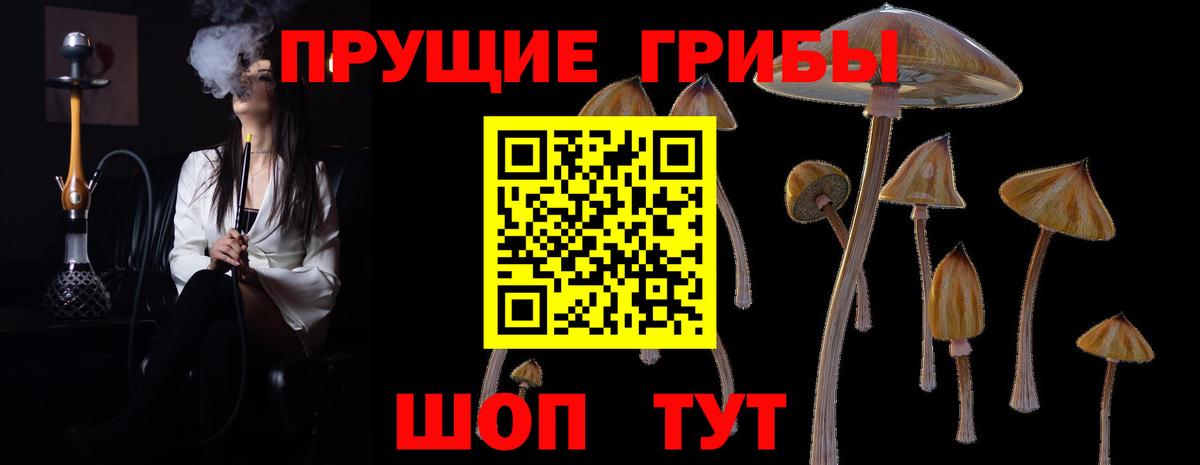 Галлюциногенные грибы прущие грибы Топки